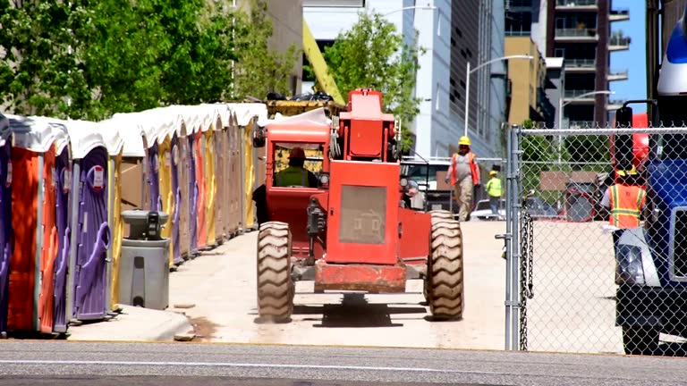 Best Tree Removal  in USA